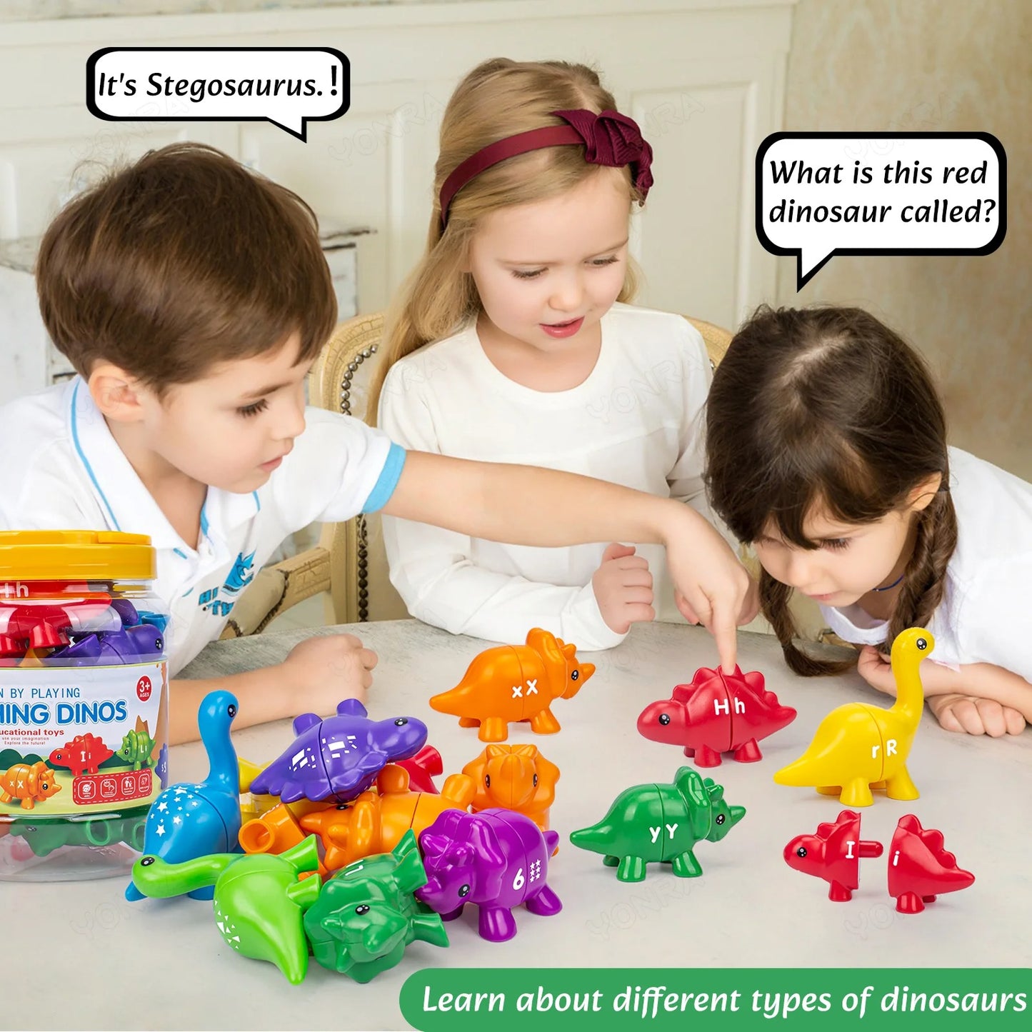 Matching Dinosaur Toy