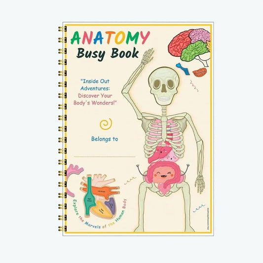 Human Anatomy Busy Book