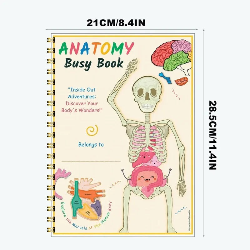 Human Anatomy Busy Book